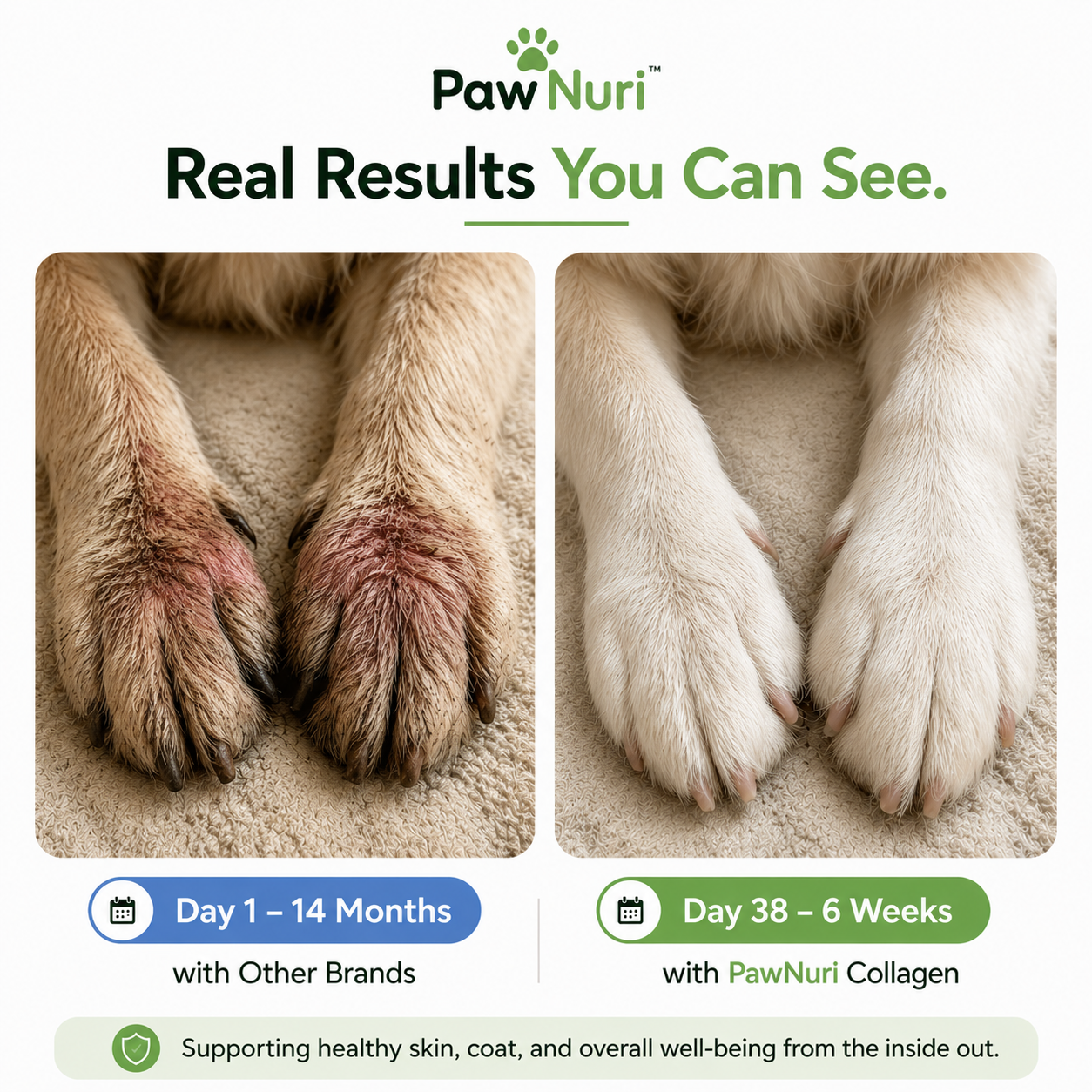 Paw Nuri™ Premium Liquid Collagen
