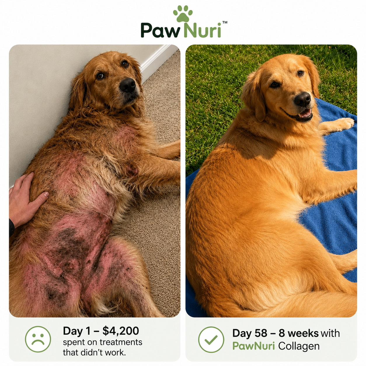 Paw Nuri™ Premium Liquid Collagen